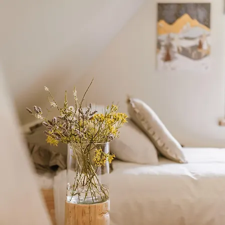 Willa Rycerki Dom Na Szlaku Rajcza