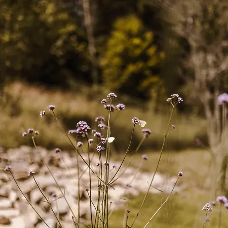Rycerki Dom Na Szlaku *