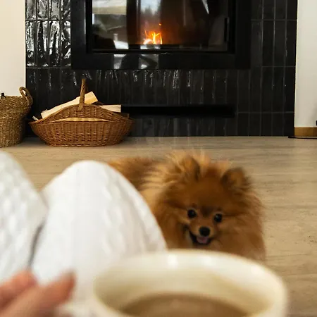 Rycerki Dom Na Szlaku Willa