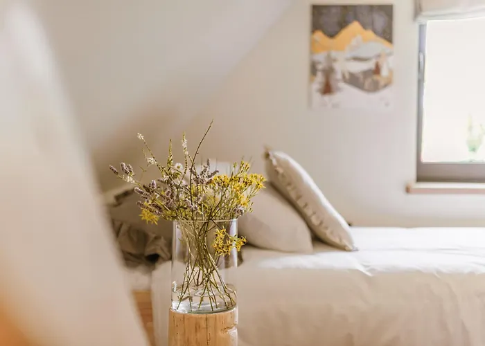 فيلة Rycerki Dom Na Szlaku رايتشا