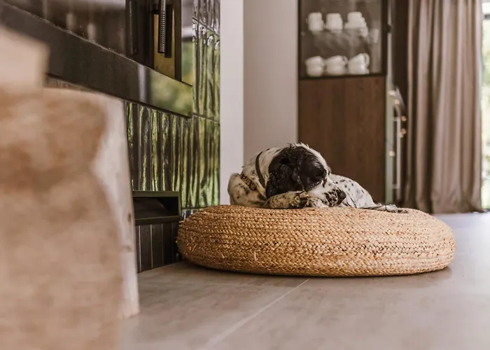 Rycerki Dom Na Szlaku فيلة *