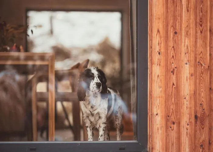 Rycerki Dom Na Szlaku וילה