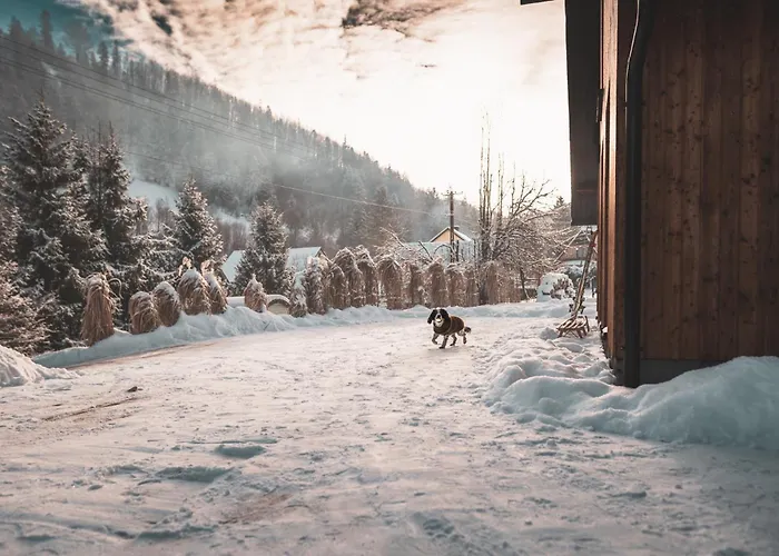 Rycerki Dom Na Szlaku Willa
